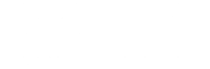 Flock-&-Fly-Logo